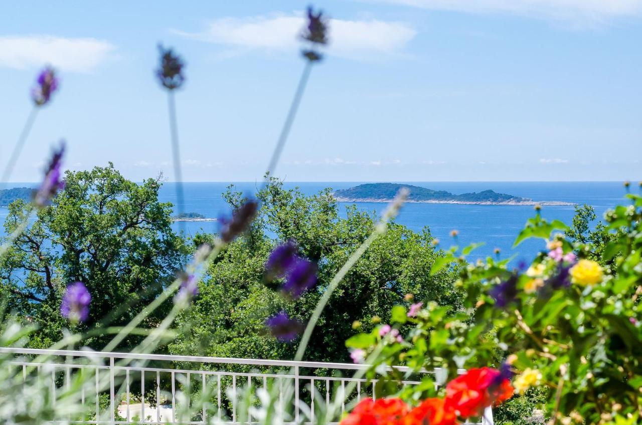 Adriatic Sunny Apartments ムリニ エクステリア 写真